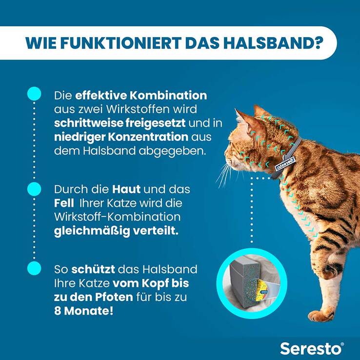 Seresto Halsband für Katzen, 1 St