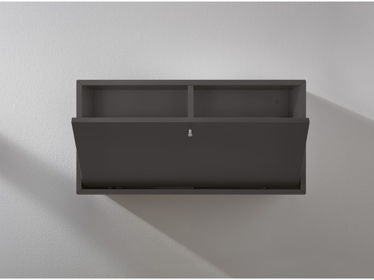 LIVARNO Living® Combineer module plank met deur antraciet