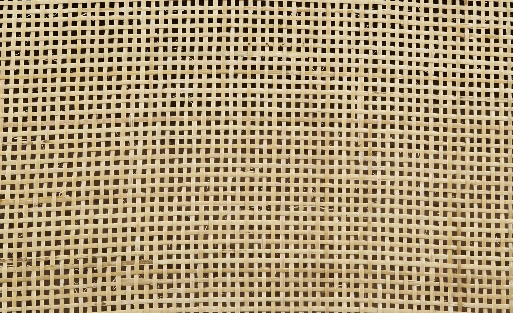 Schreibtisch Kokoon
