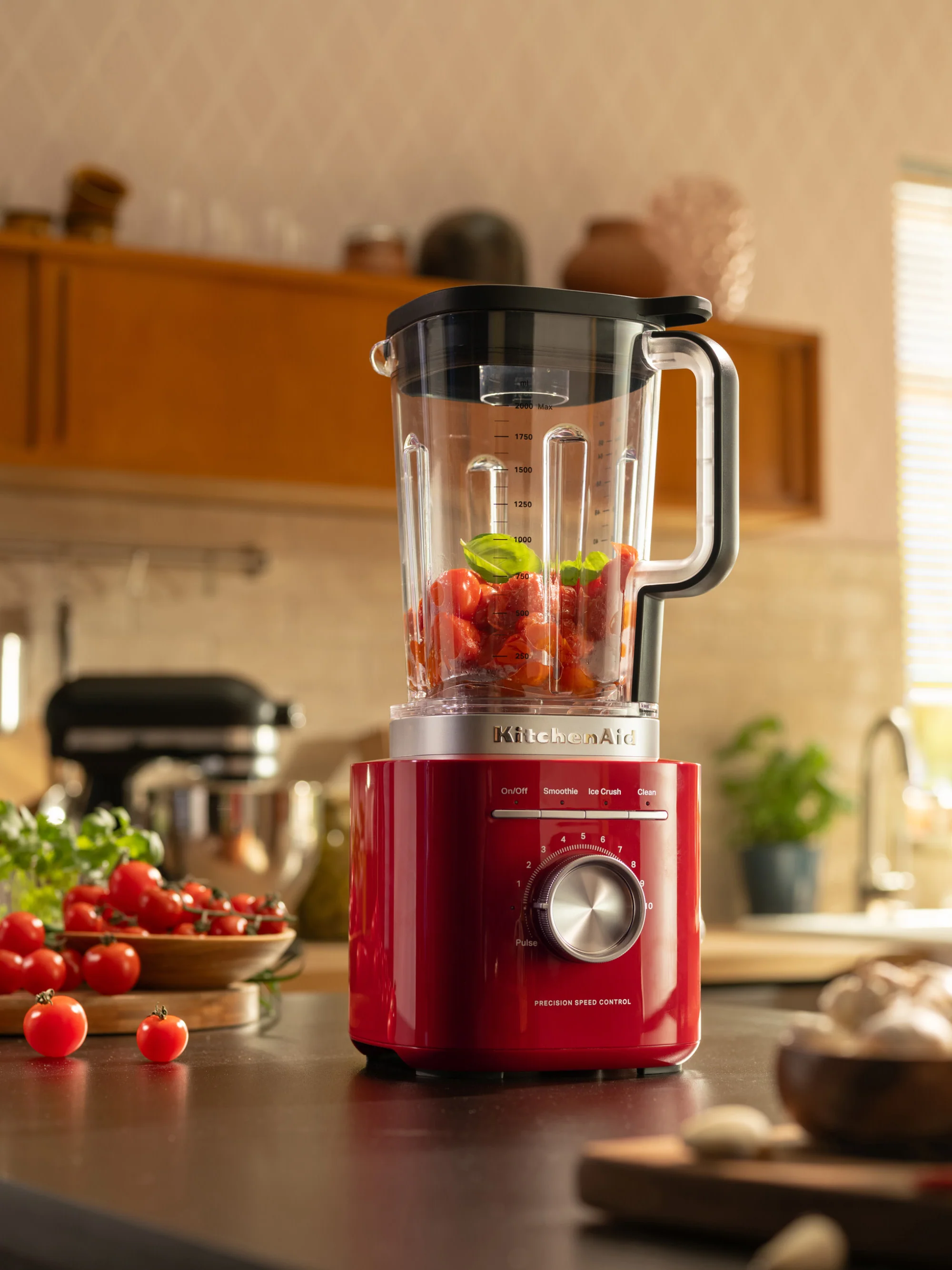 Blender Pure Power