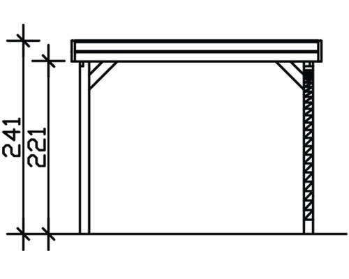 SKAN HOLZ Friesland enkele carport met inrijboog en H-paalankers 314x555 cm geïmpregneerd
