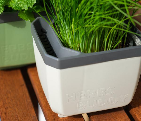 Gusta Garden Kräutertopf Herbs Buddy, ca.