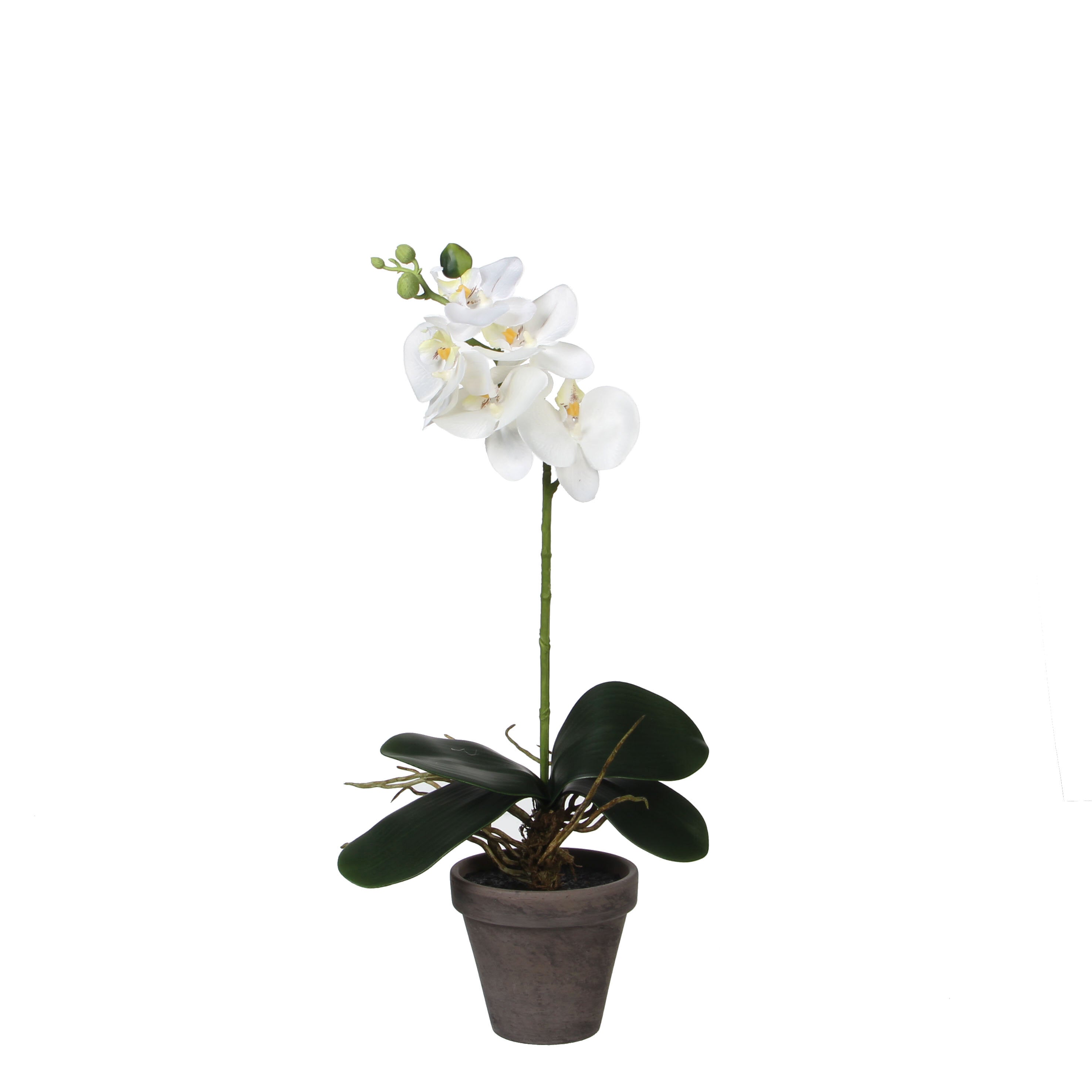 Mica Decorations Phalaenopsis Kunstplant - H48 x Ã13 cm - Wit