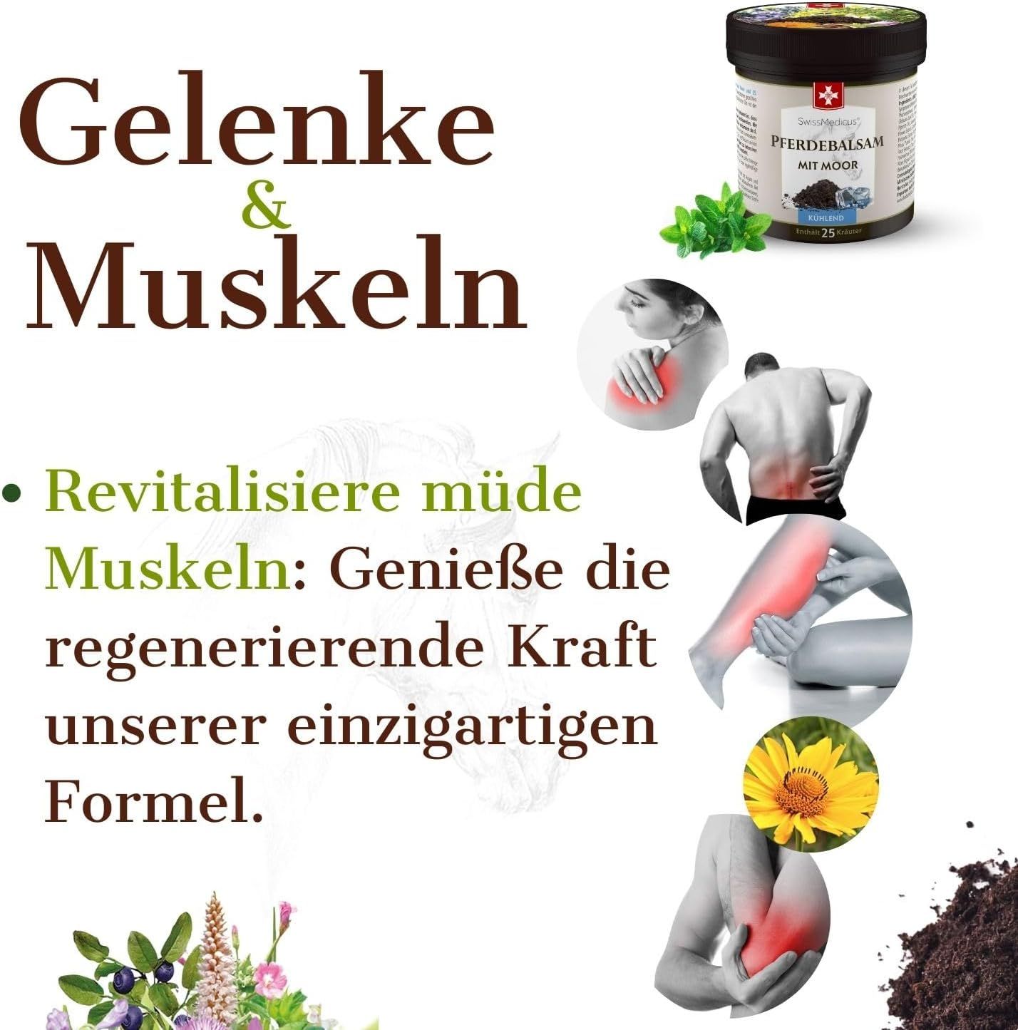 SwissMedicus Pferdebalsam mit kühlender Moor