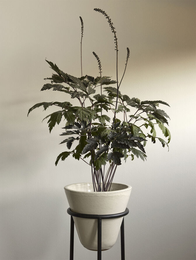 Audo Copenhagen Daiza Planter, H67/Ø25, Ivory