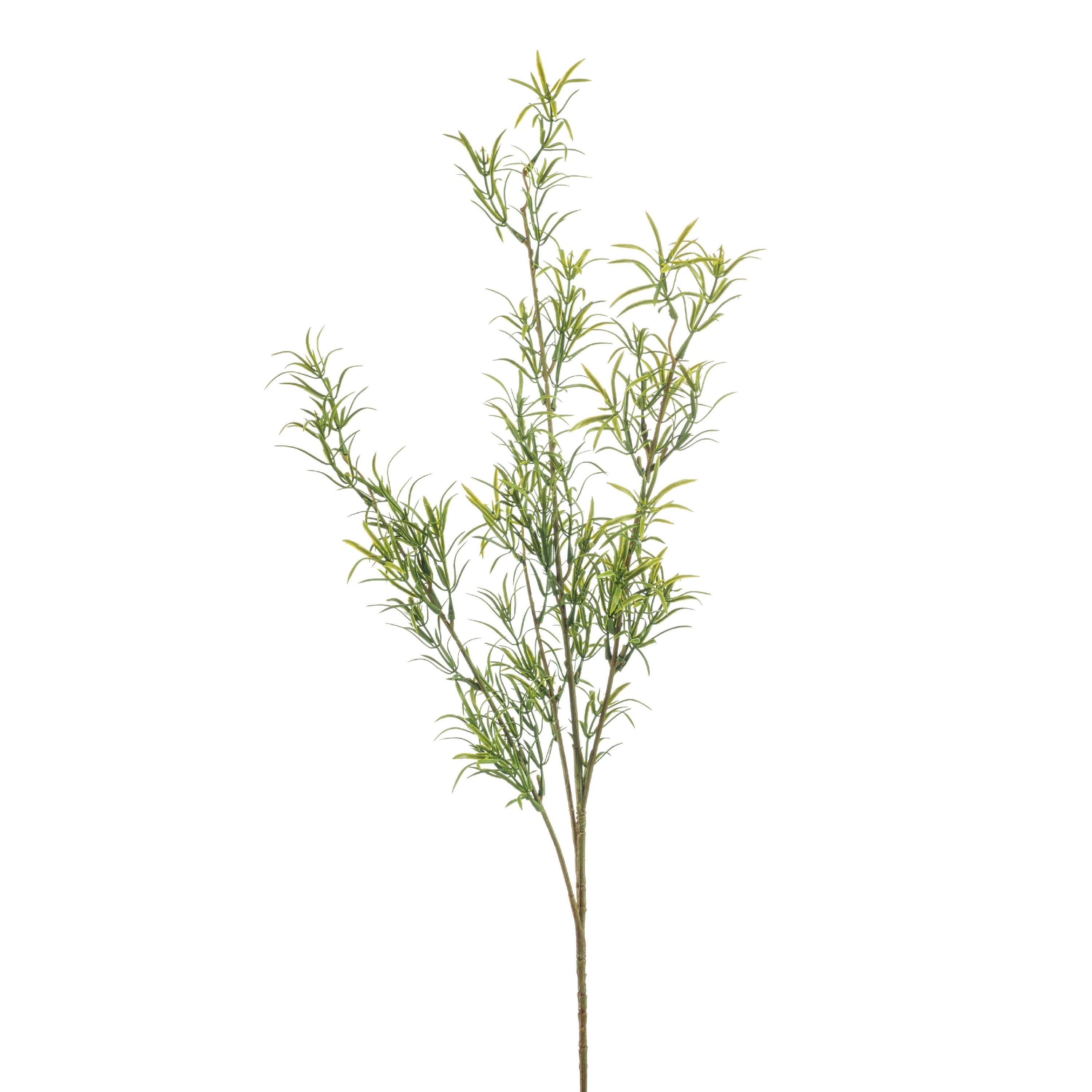 Fleurdirect Kunsttak Asparagus Groen -  - 0x80x0cm (BxHxD)