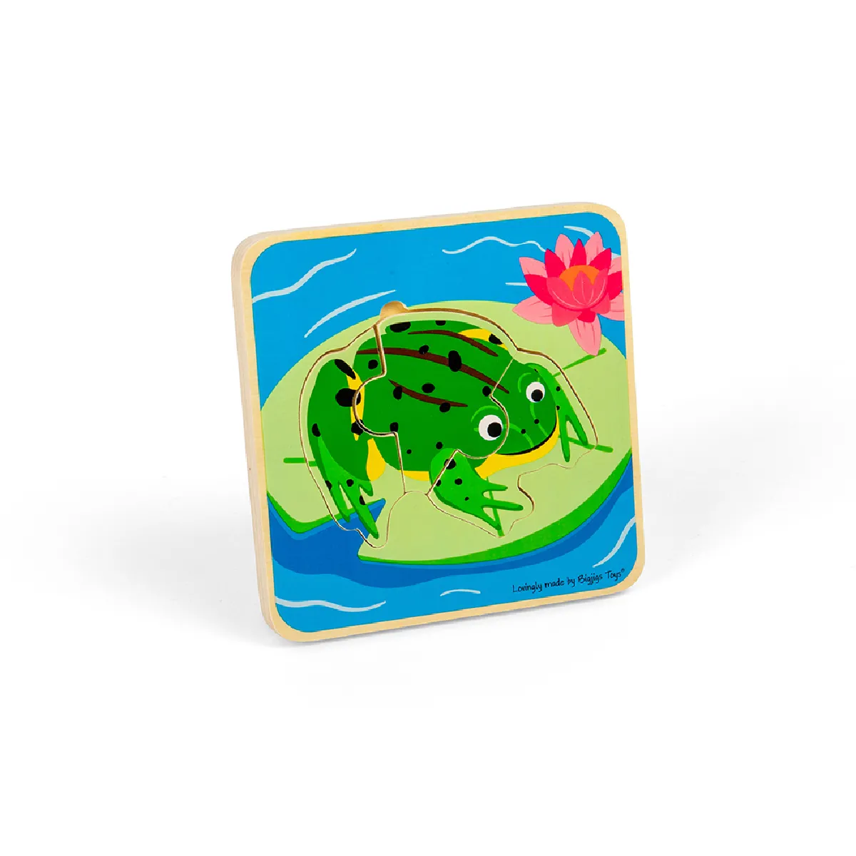 Puzzle Cycle de Vie Bigjigs Toys Grenouille