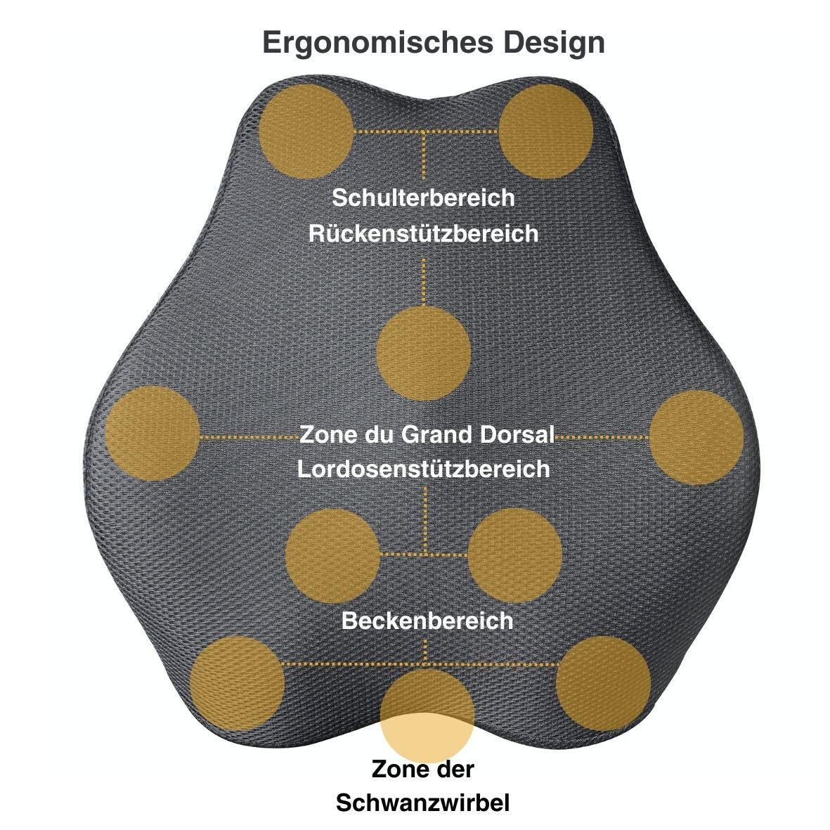 INPHYSIO Ergonomisches Lendenstützkissen, Verstellbare Gurte