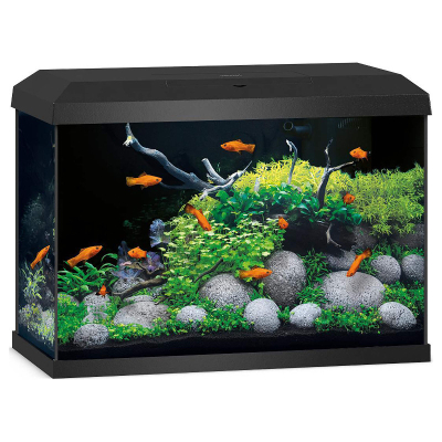 Juwel Aquarium Primo 70 LED schwarz