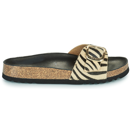 Scholl - KATHLEEN Cebra