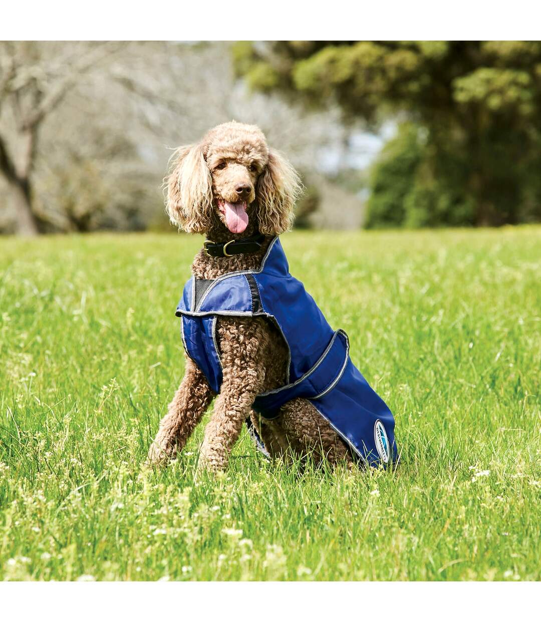 Weatherbeeta - Manteau pour chiens COMFITEC WINDBREAKER FREE DELUXE (Bleu foncé / Gris / Blanc) (25 cm) - UTWB1651