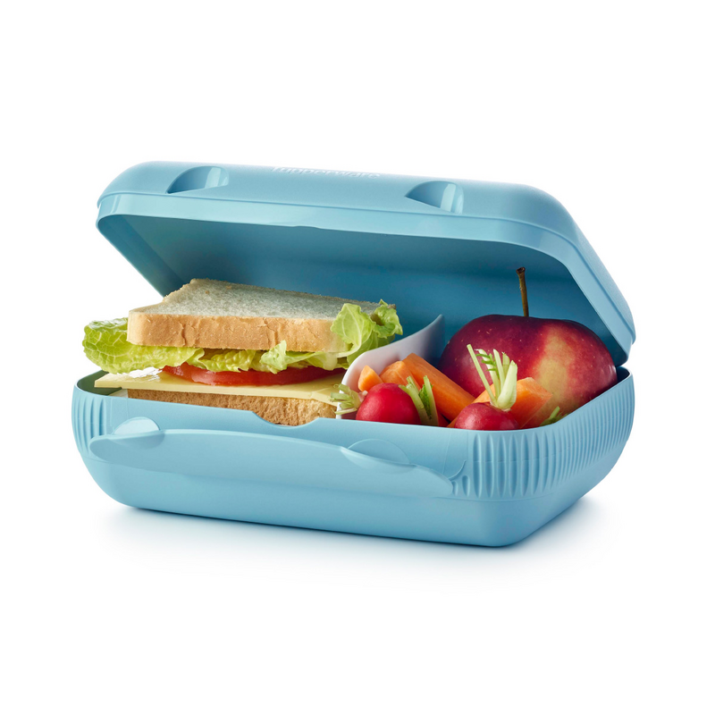 Eco+ Lunch-Box Die Brotdose für den großen Hunger