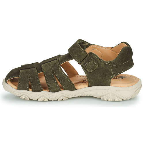 Citrouille et Compagnie - FILOLE - Kaki