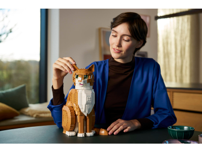 LEGO Oranje kat (21376)