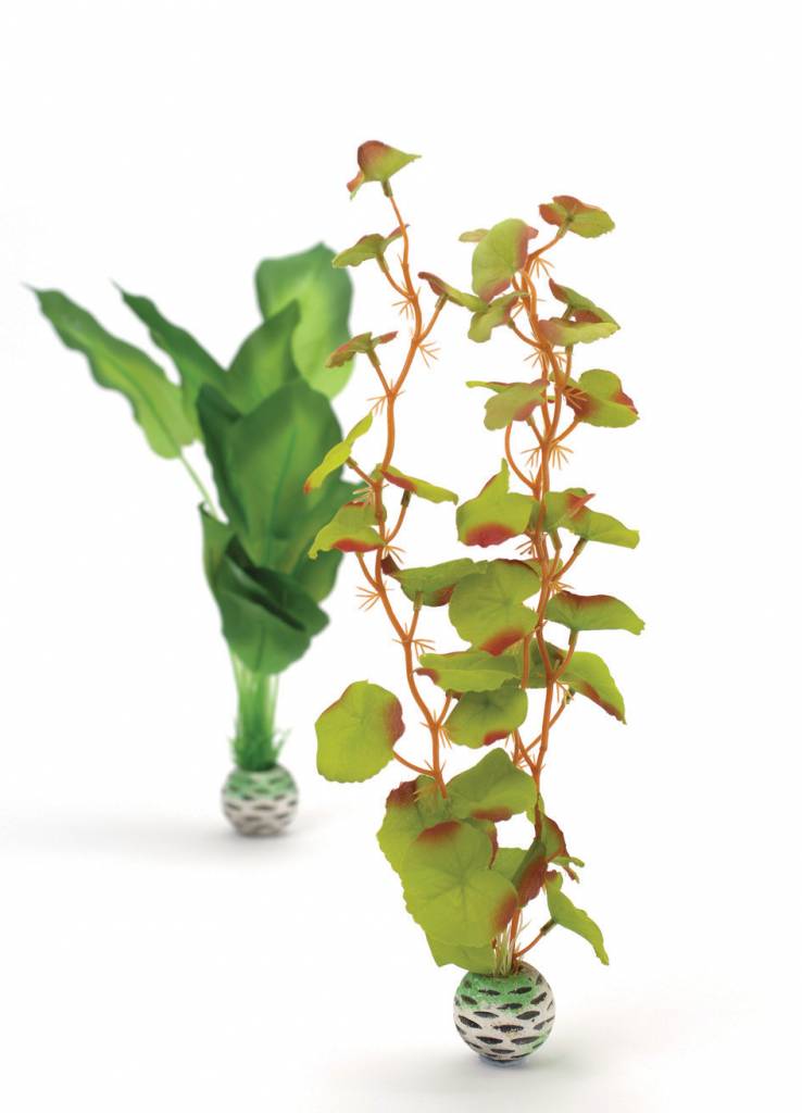 Zijde plant 2x medium groen/groen