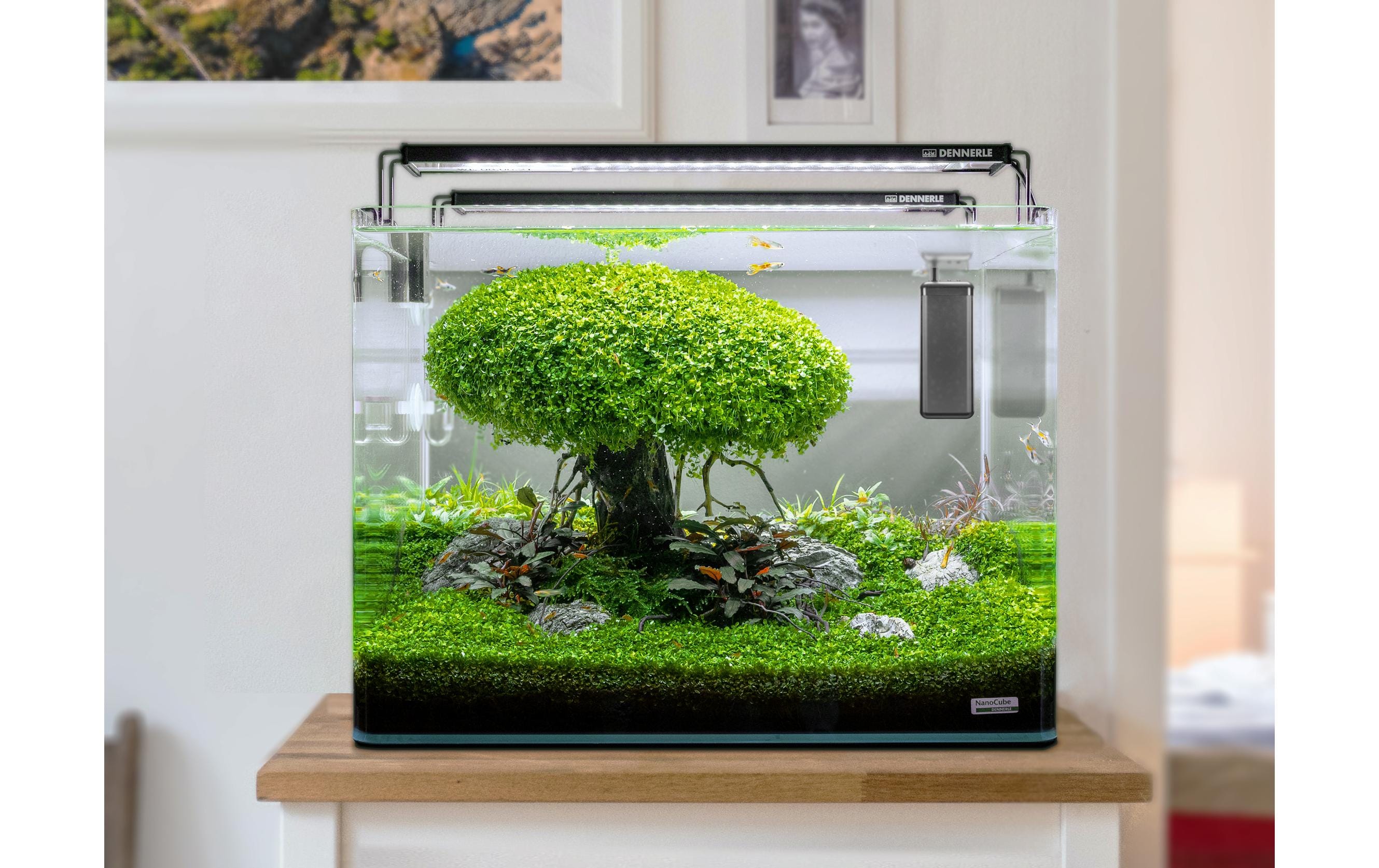Heater Constant, 75 WVollelektronischer Regelheizer für Aquarien