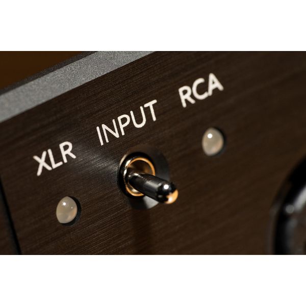 Violectric HPA V222
