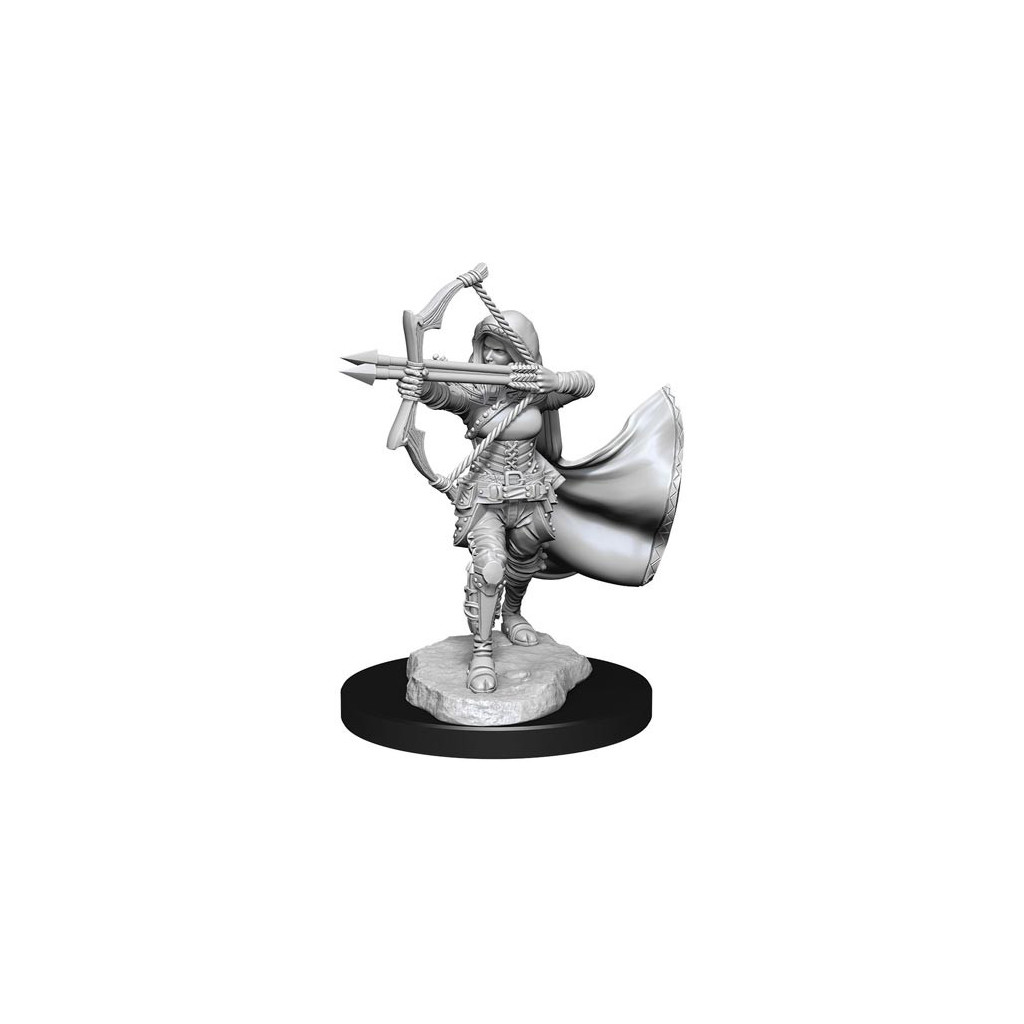 D&D Nolzur's Marvelous Unpainted Miniatures: Female Air Genasi