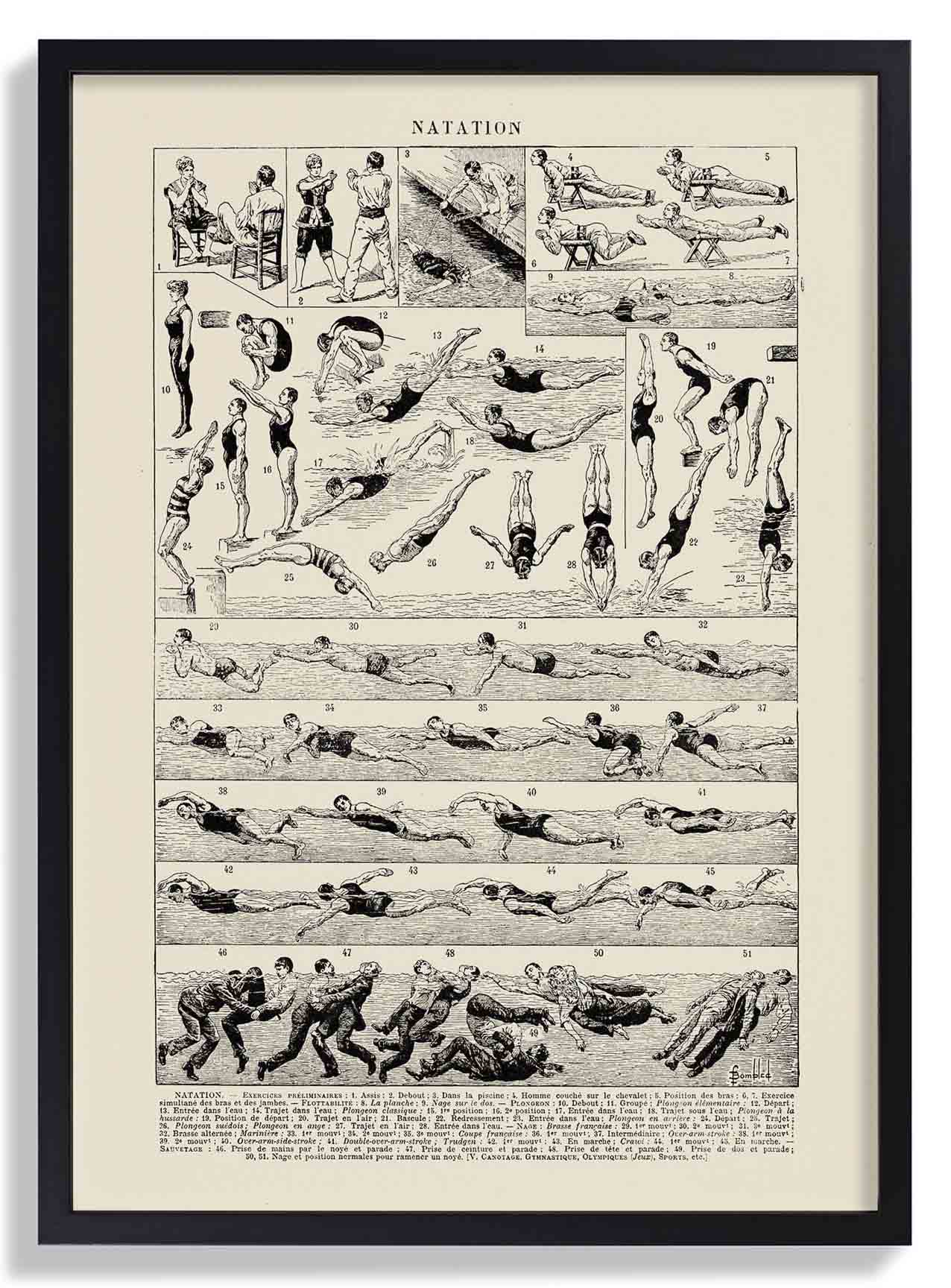 Französisch schwimmen