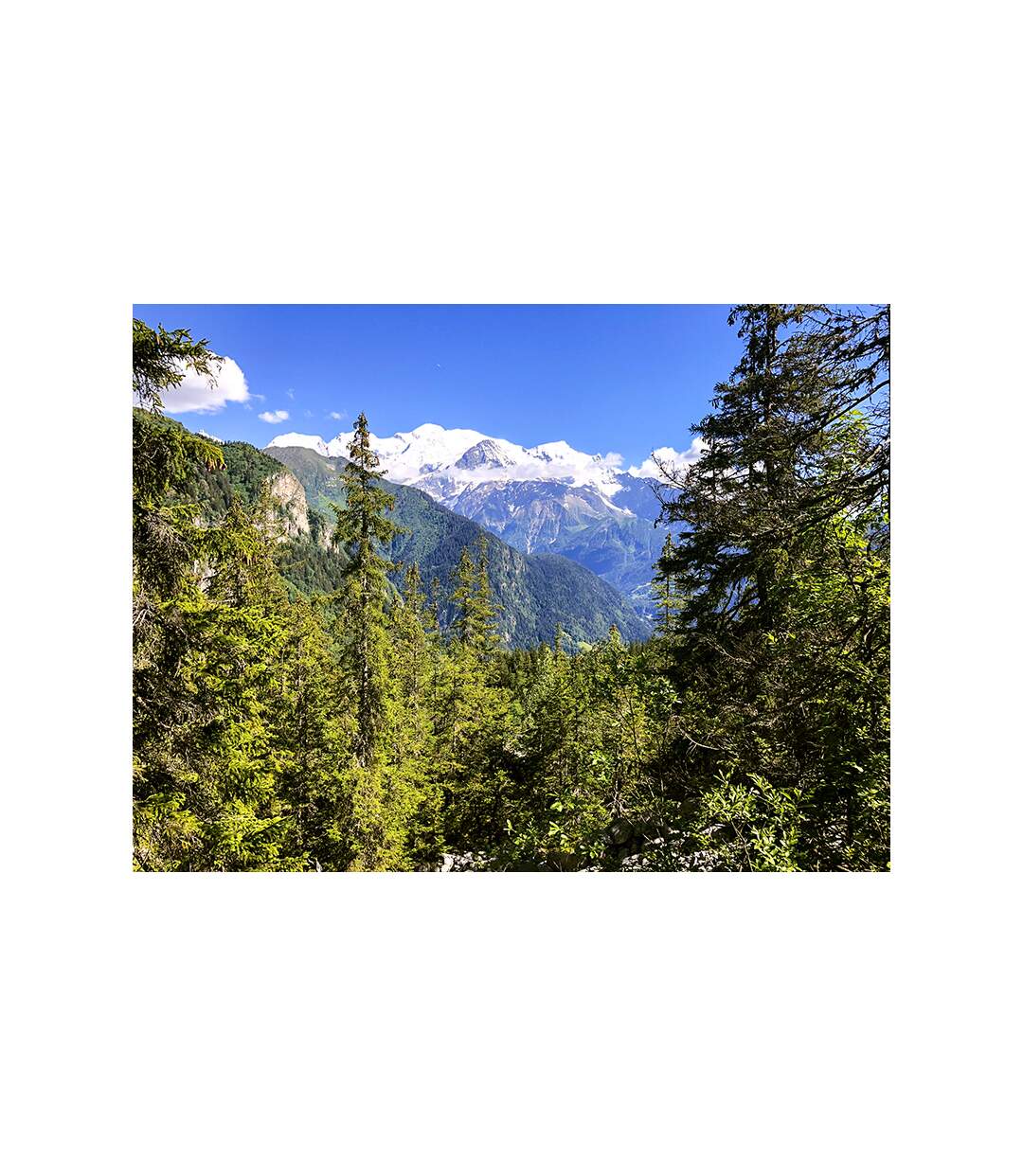 Découverte de la géologie en famille : randonnée de 5h face au mont Blanc - SMARTBOX - Coffret Cadeau Sport & Aventure