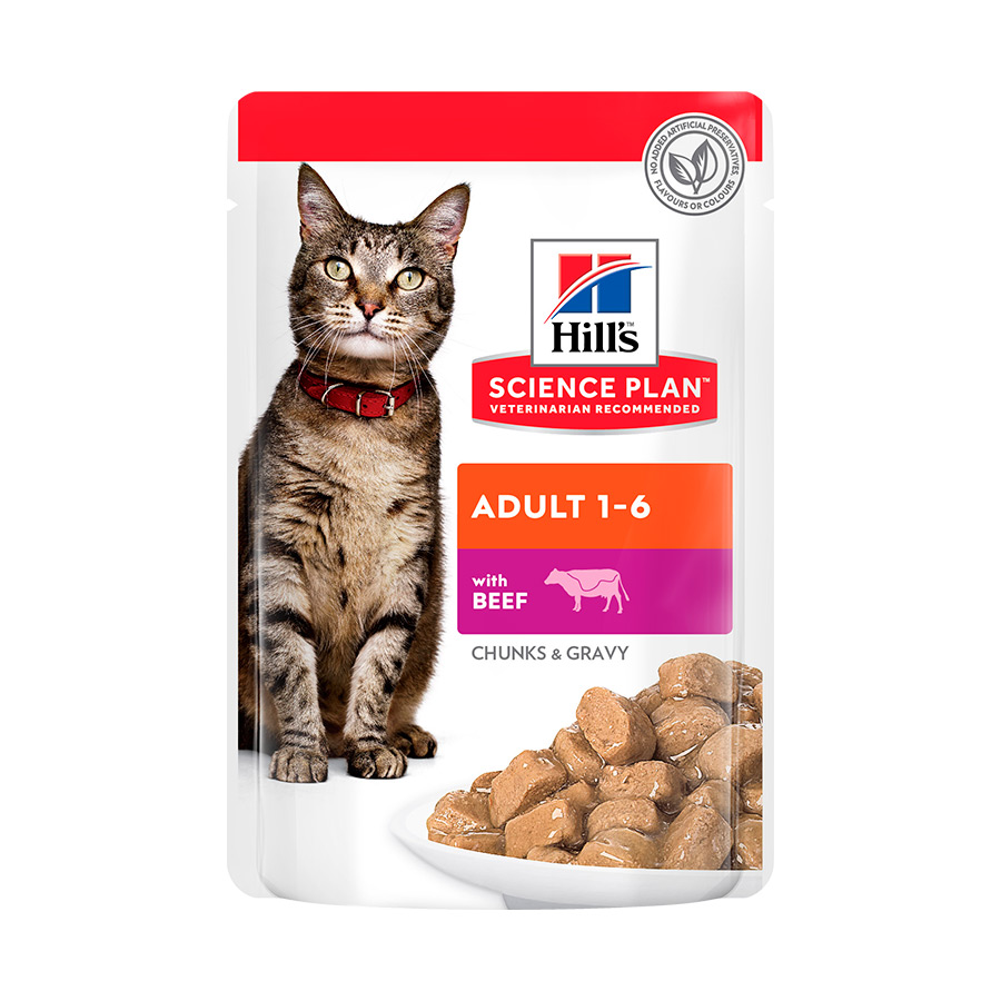 Sachê de carne bovina ao molho Hill's Science Plan para gatos adultos