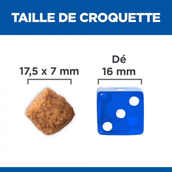 HILL'S Science Plan Large Mature Adult 6+ au Poulet - Croquettes pour chien