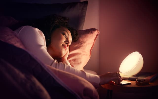 Philips Hue Go WCA bærbar lampe 12V