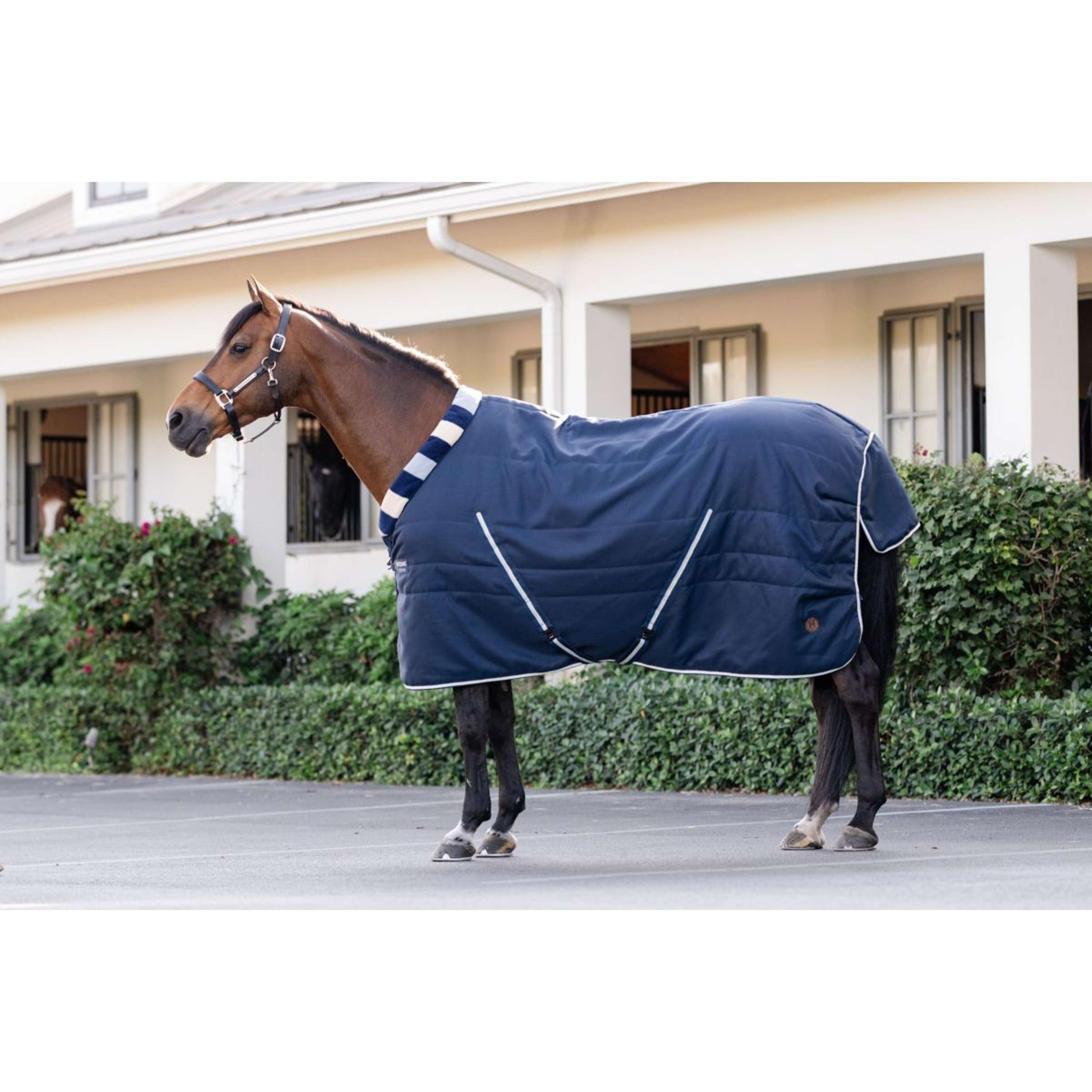 Horseware Cosy Stable Newmarket 100g Witney Navy