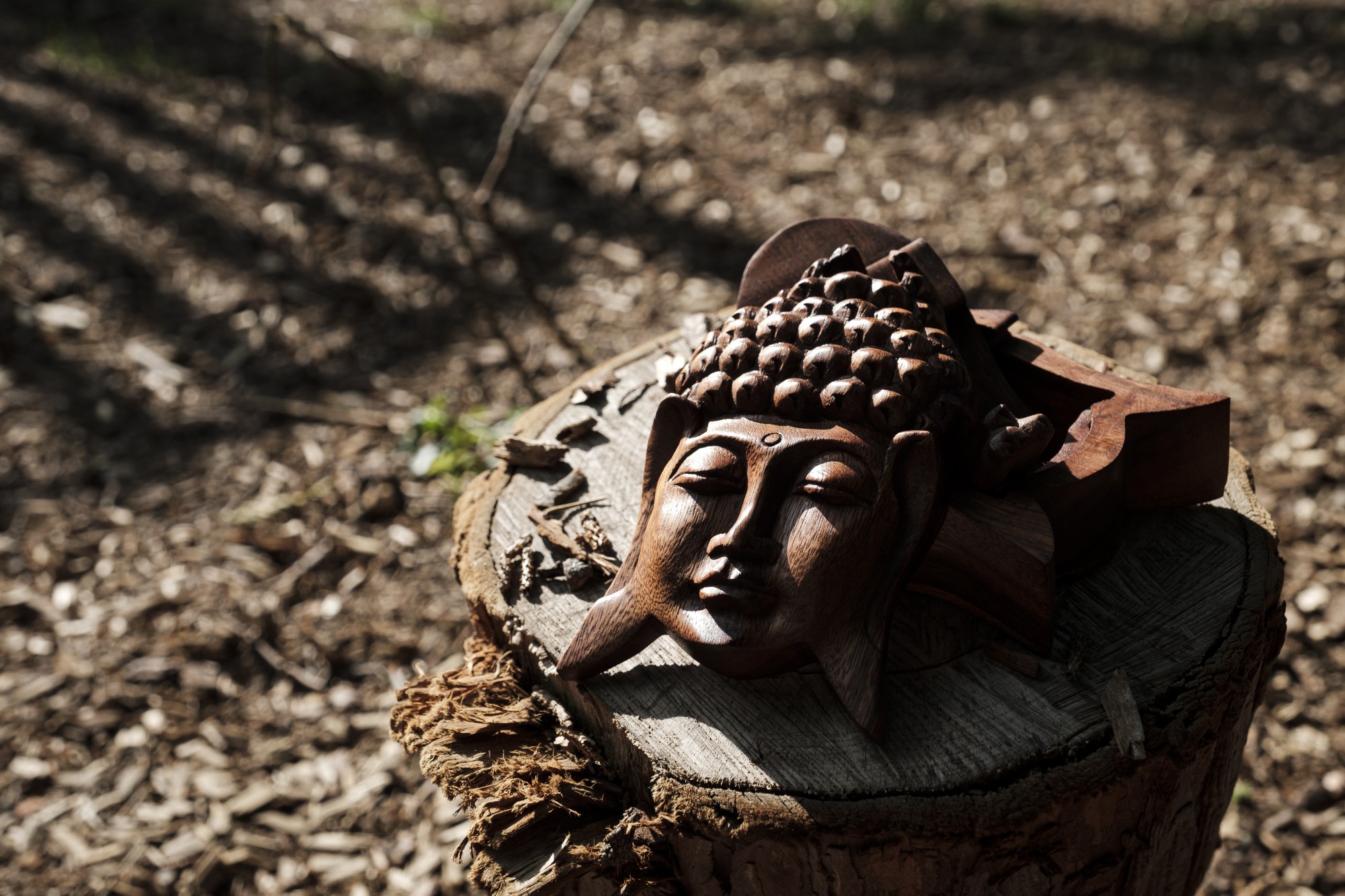 Secret-Box 'Buddha', T 16 cm, B 9 cm, H 6 cm von fischer's lagerhaus