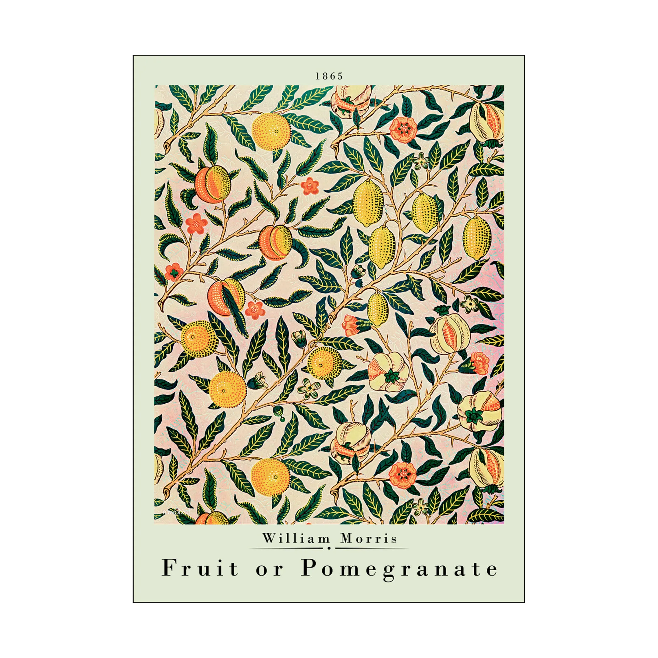 Poster&Frame Plakat - Pomegranate