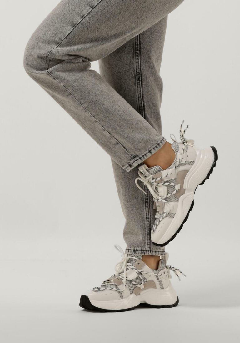 STEVE MADDEN witte steve madden lage sneakers tazmania