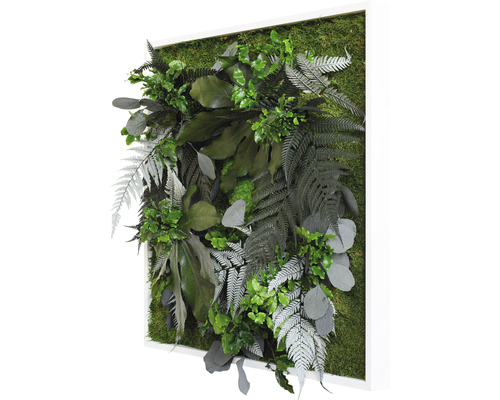 Plantenfoto jungle design lijst wit 55x55 cm
