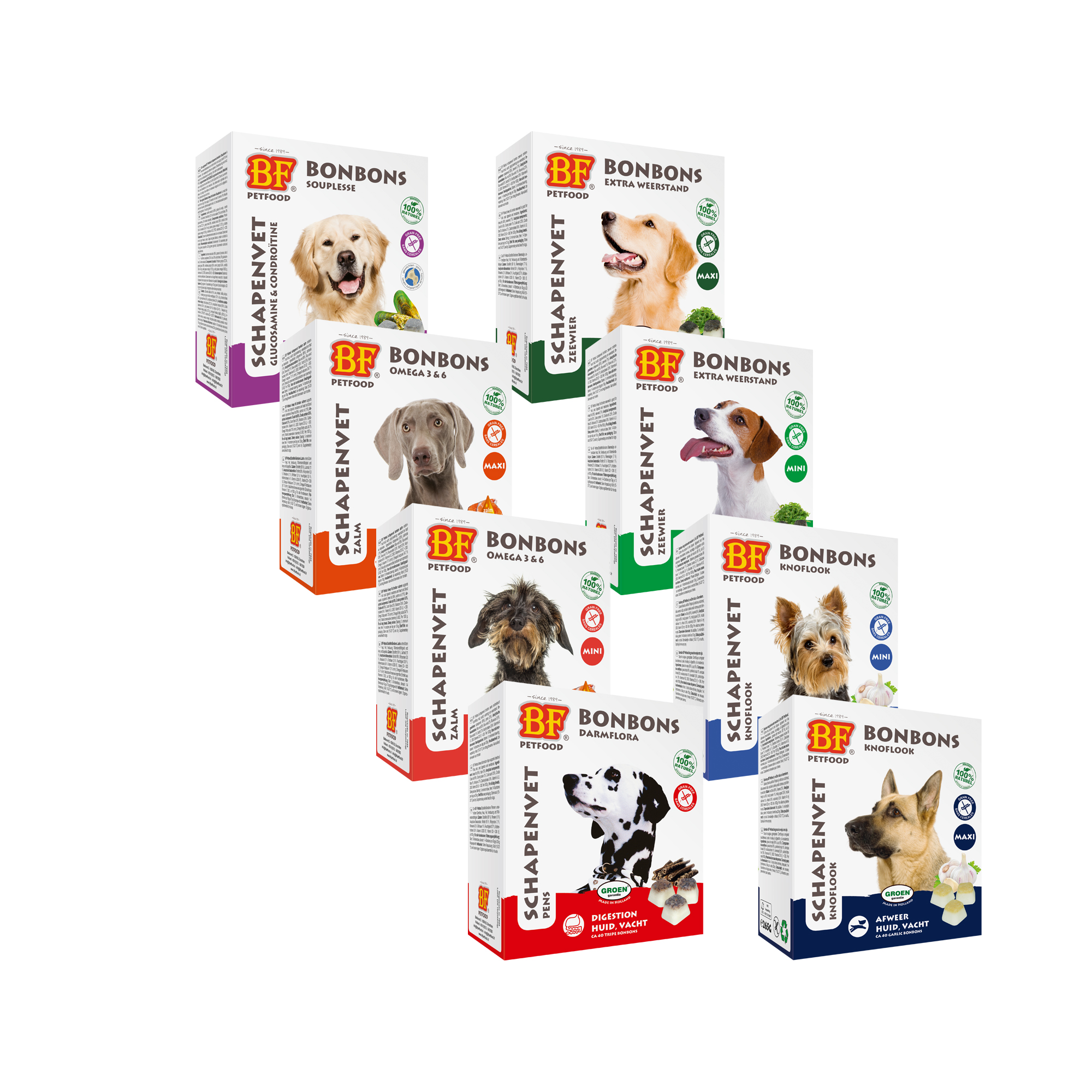 BF®Petfood Schapenvet