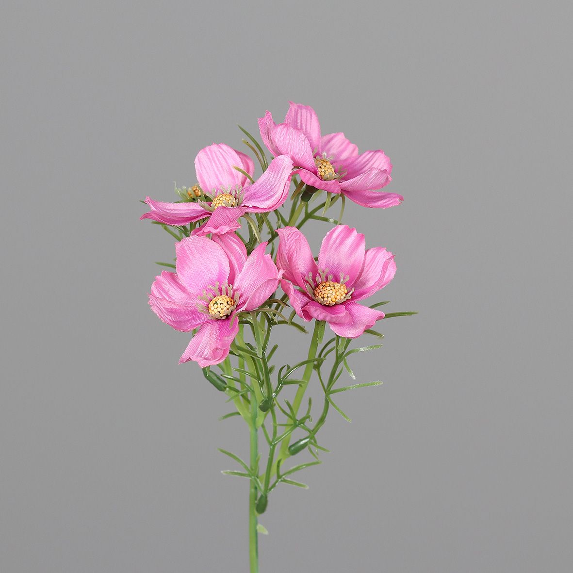 Kunstblume COSMEA