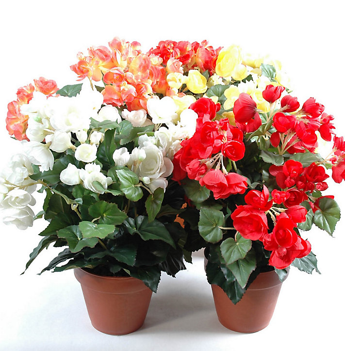 Begonia plante artificielle pot en plastique
