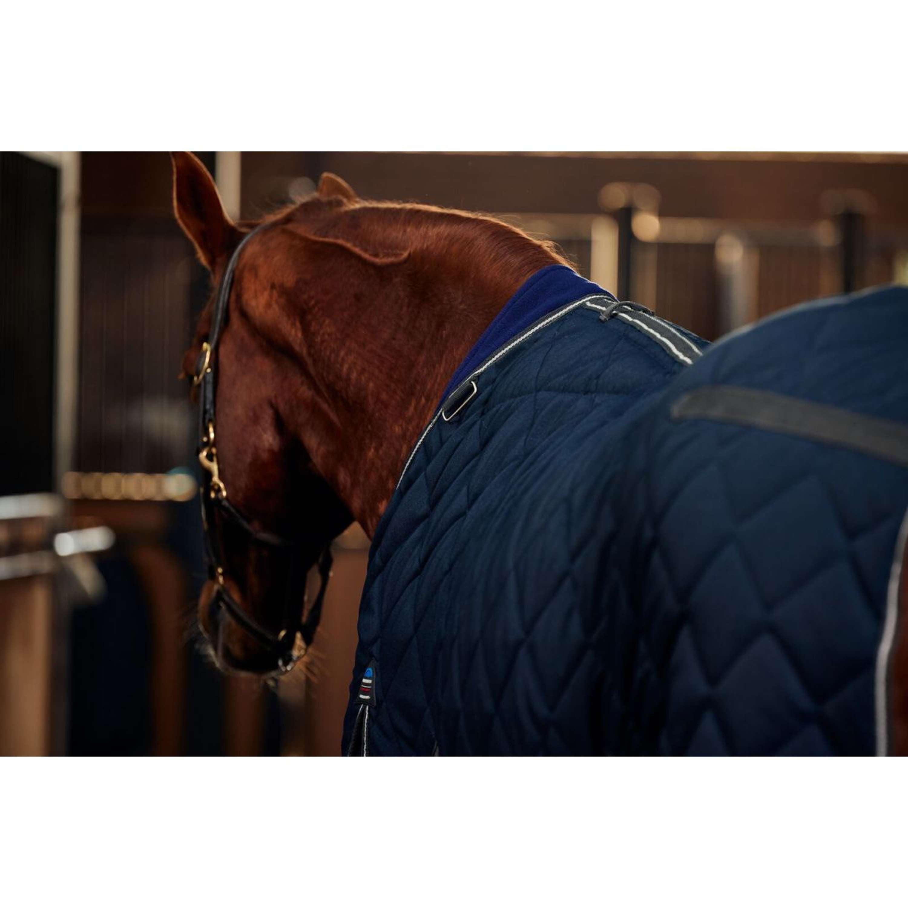 WeatherBeeta Staldeken ComFiTec 100D Diamond Quilt Detach-A-Neck 220g