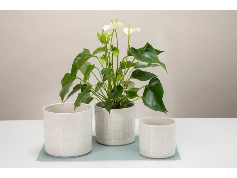 scheurich Blumentopf Opale 9.8 cm, Beige Übertopf