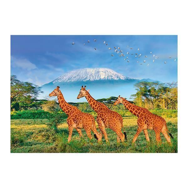 Calypto Giraffen 500 Teile XL Puzzle