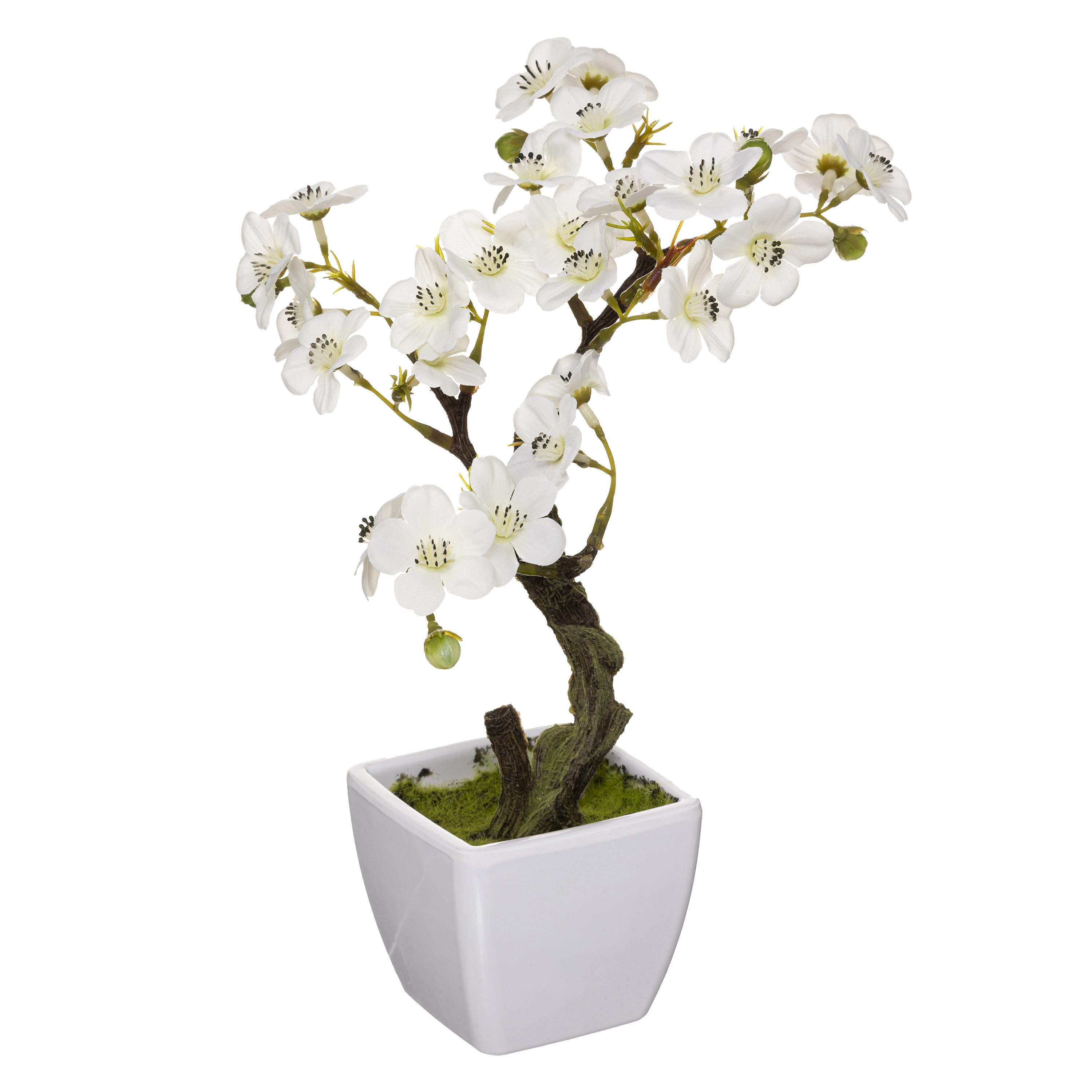 CERISIER EN POT H.26CM