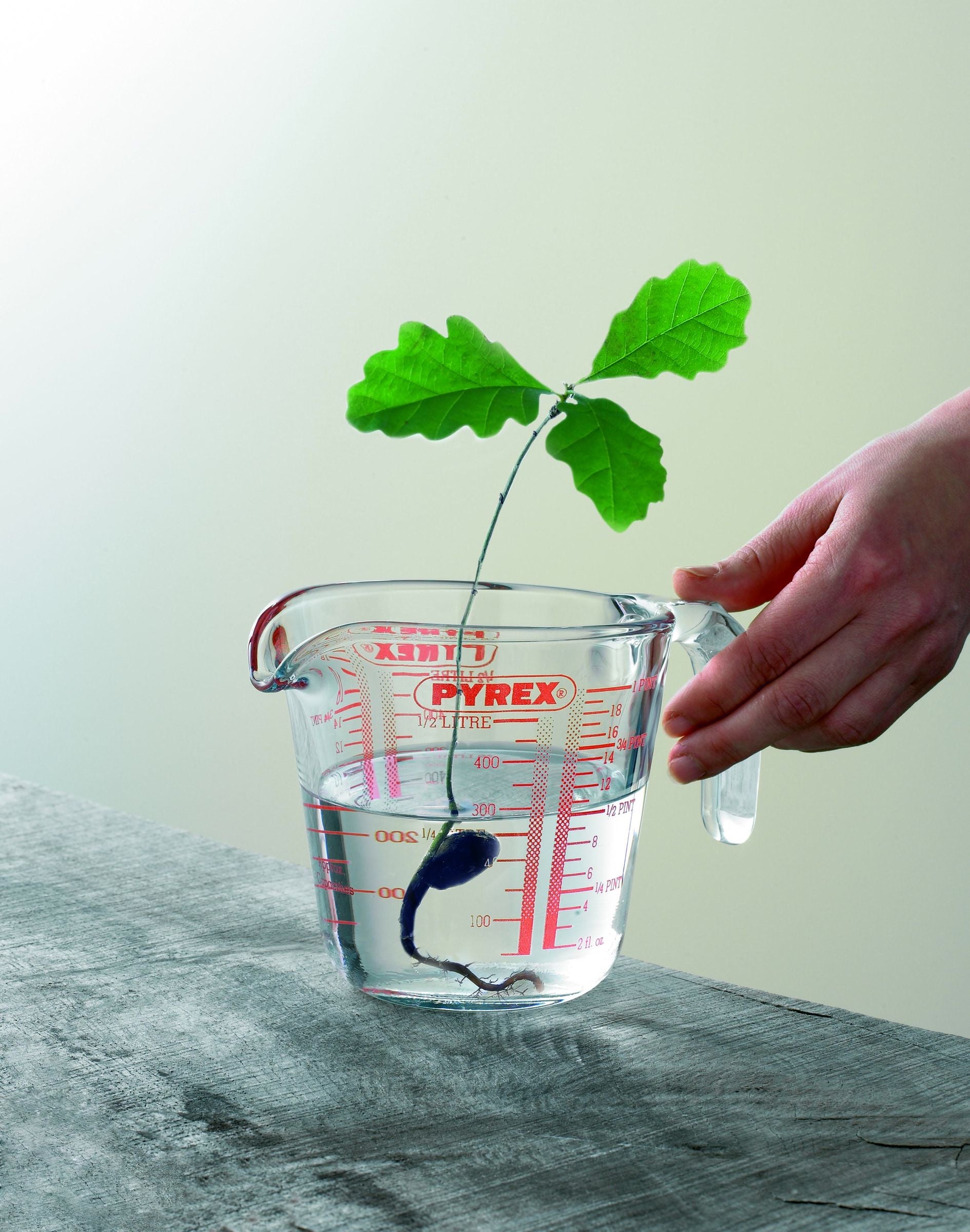 Maatbeker, Set van 3 Stuks - Pyrex | Classic Prepware