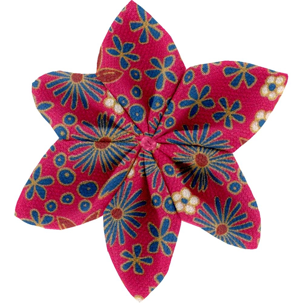Barrette Fleur Étoile Badiane Framboise