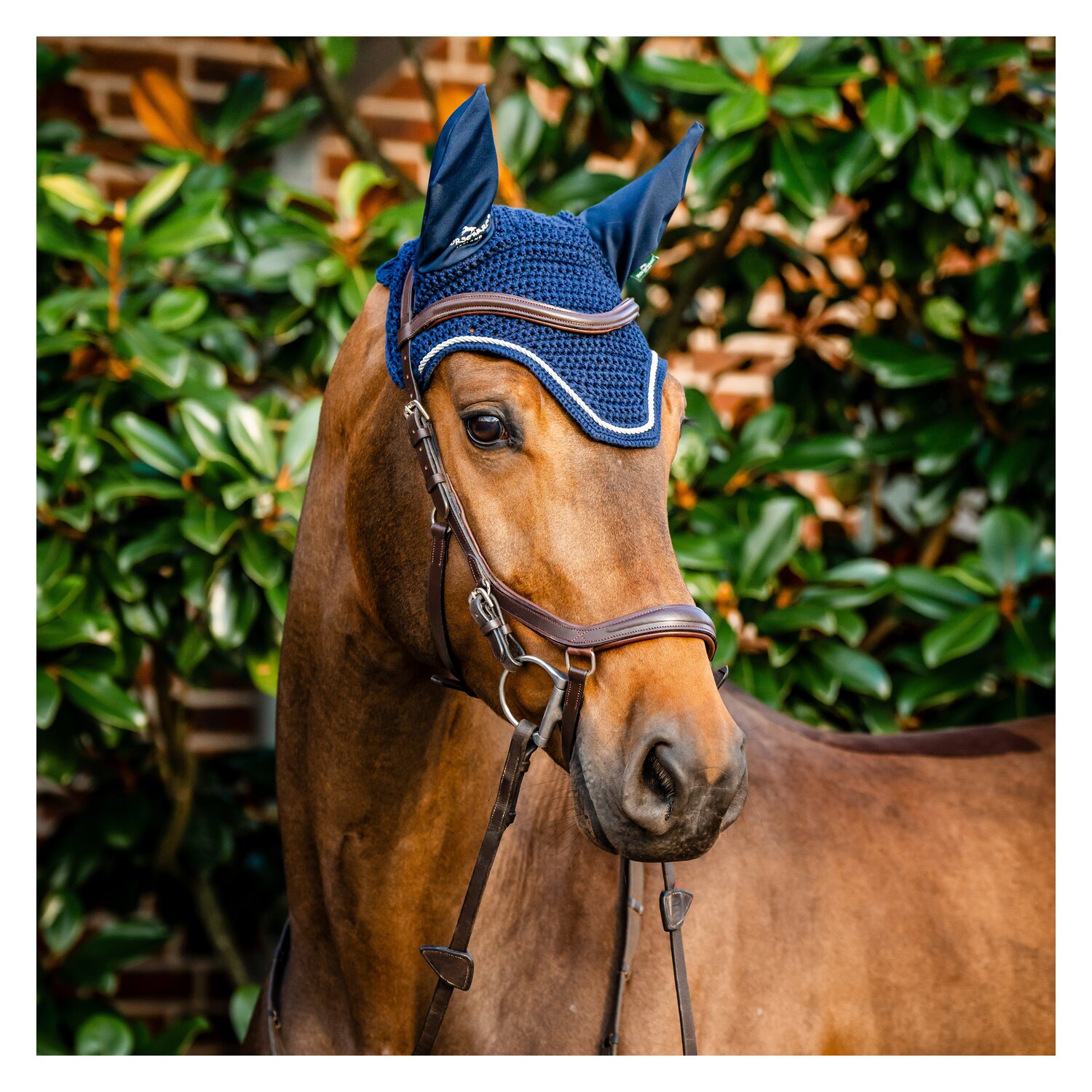HORSEWARE Signature Fliegenohren  - navy - VB/WB