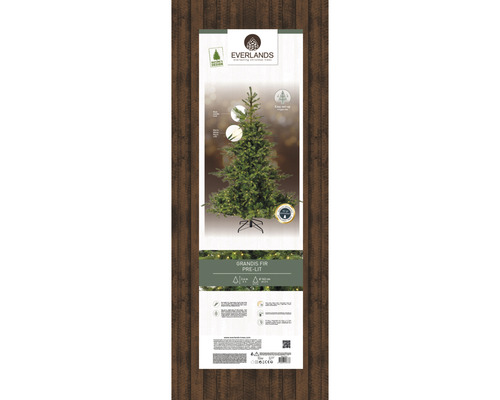 Kunstkerstboom Everlands Grandis, verlicht, H 240 cm, groen, incl. LED