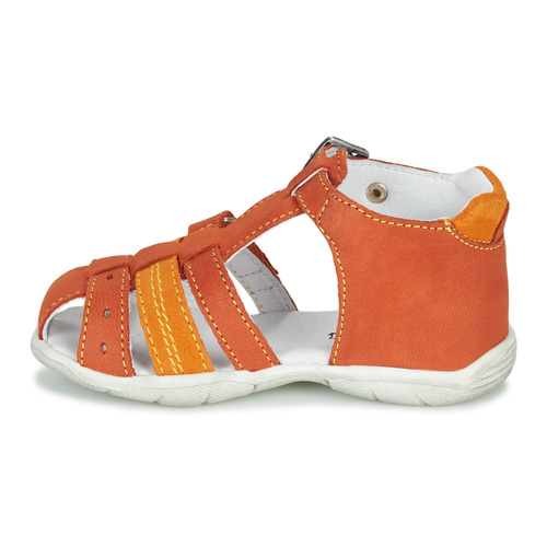 GBB - ARIGO - Orange