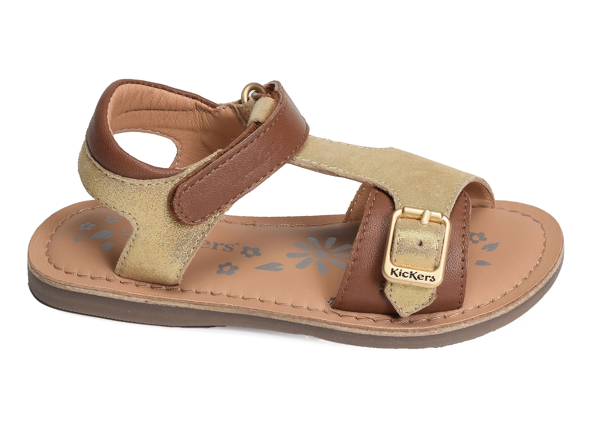 Diazz camel or