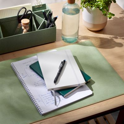 Frixion Ball Plus - Roller encre gel - pointe moyenne - bleu - Begreen