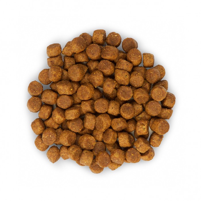 HILL'S Science Plan Medium Puppy au Poulet - Croquettes pour chiot