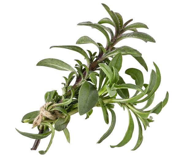 Bergbohnenkraut