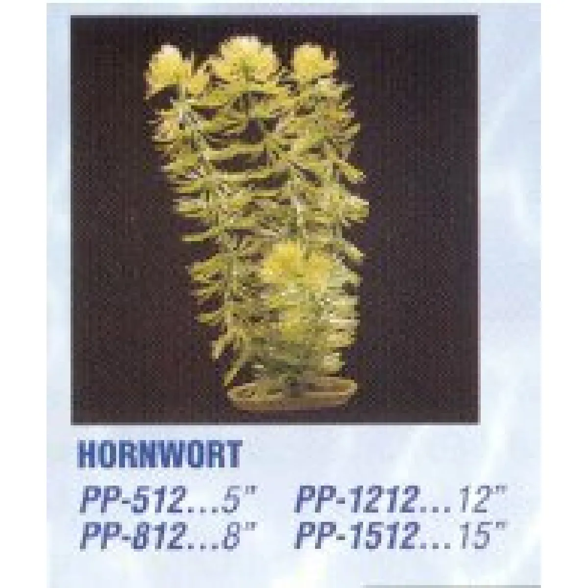 Marina Plante Aquarium Hornwort