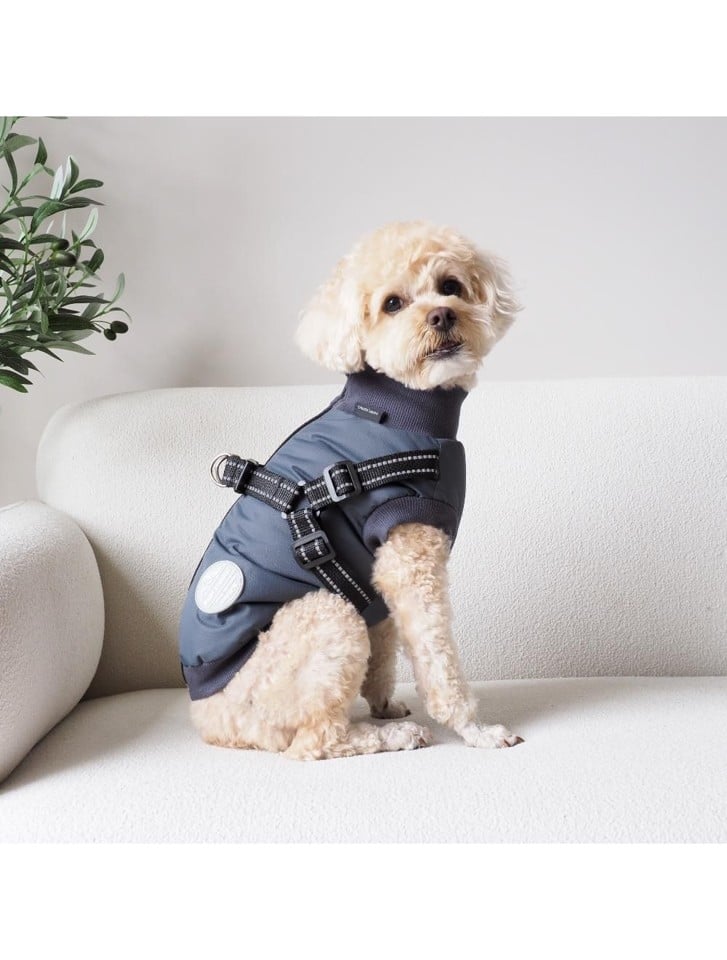 Nordic paws - Hundejakke Thor med sele 30cm - Koksgrå - XS